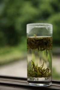 Grüner Tee ist gut für die Gesundheit
